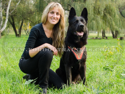 German Shepherd Body Harness