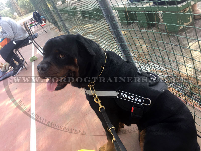 Reflective Dog Harness for Rottweiler Service Dogs, with ...