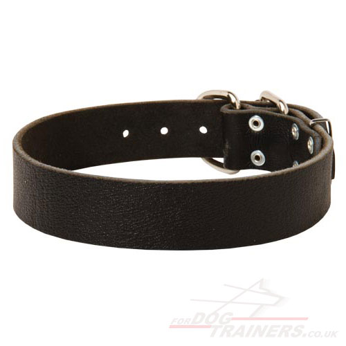 Strong Leather Dog Collar with Buckle