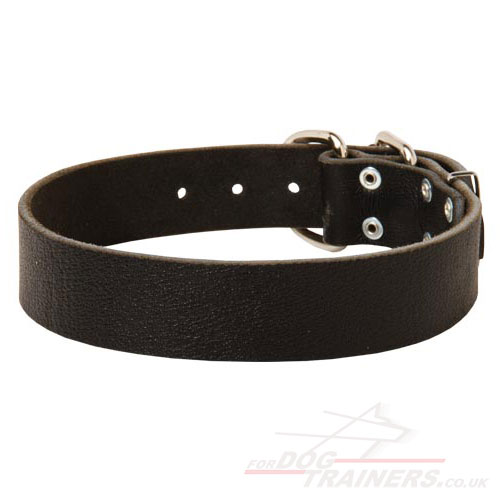 Wide Leather Dog Collars