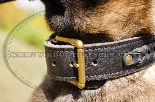 Braided dog collar for Belgian Shepherd