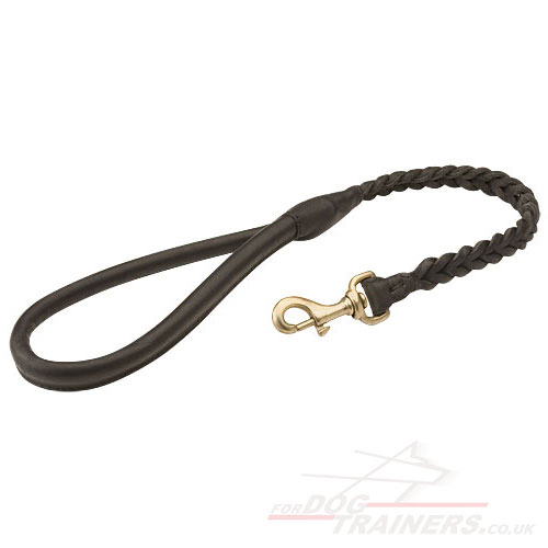 Braided Dog Lead