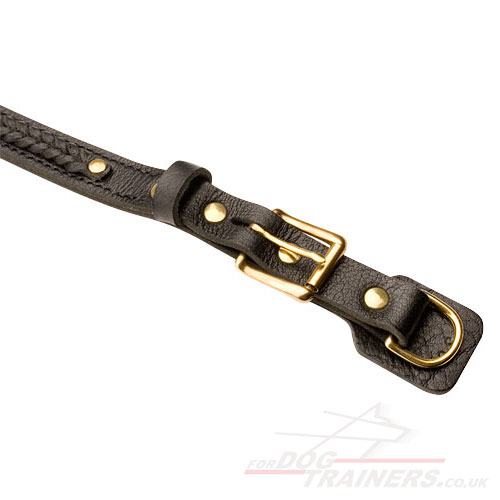 Braided dog collar with brass buckle