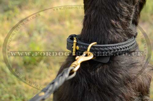 Braided Dog Collars