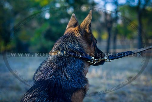 German Shepherd Collars for Sale