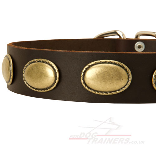 dog leather collar