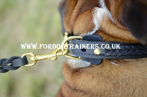 British Bulldog collar UK