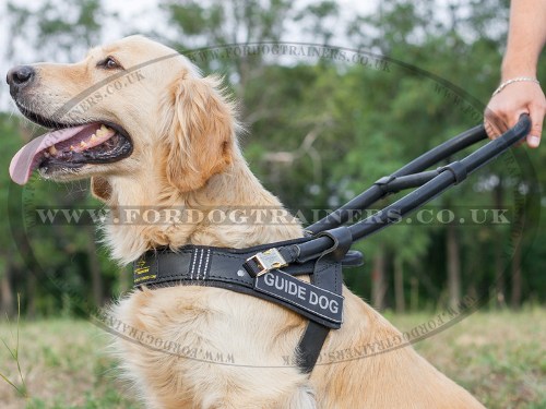 Guide Dog Harness for Golden Retriever