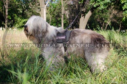 Light Reflective Dog Harness