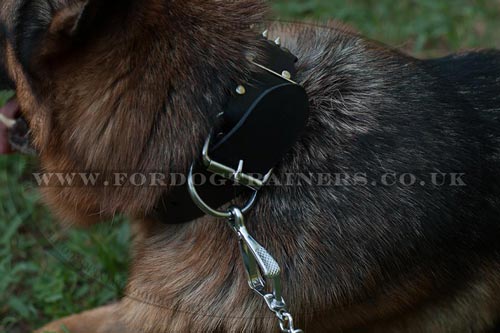 Leather Dog Collar for German Shepherd