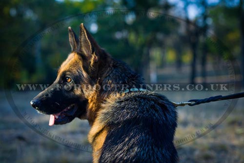 German Shepherd Leather Collar Necklace