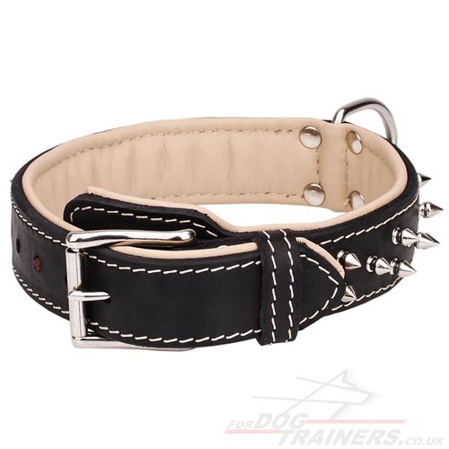 Spiked Leather Dog Collar