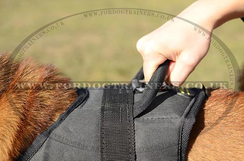 Shar Pei Dog Harness with Handle