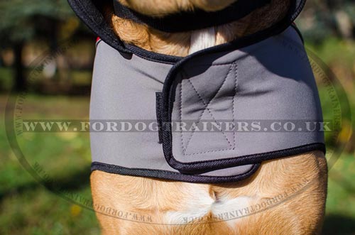 Cane Corso Mastiff Dog Coat