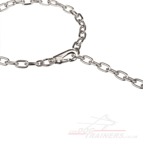 check chain collars