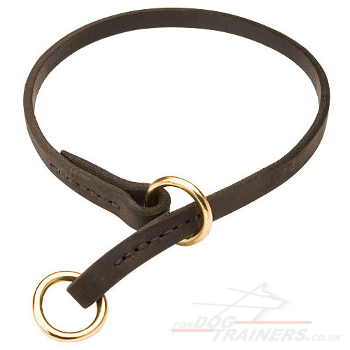 dog choker collar for Malinois