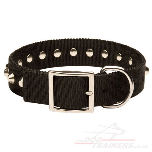  black nylon dog collar for Caucasian Shepherd