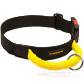 nylon dog collar with handle