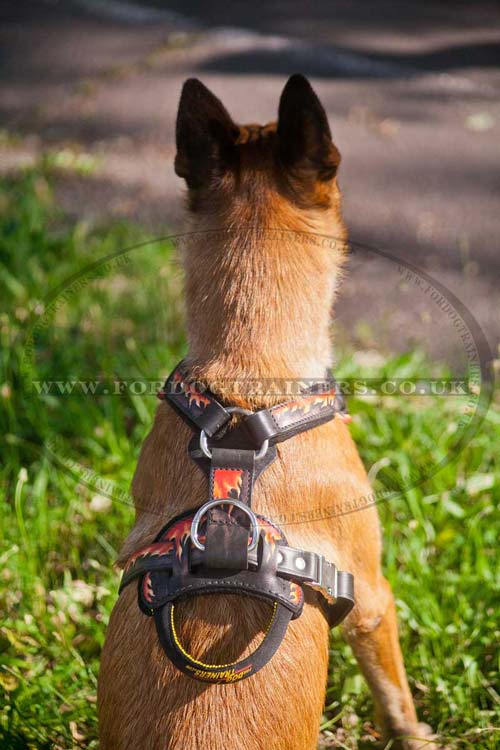Designer dog leather harness