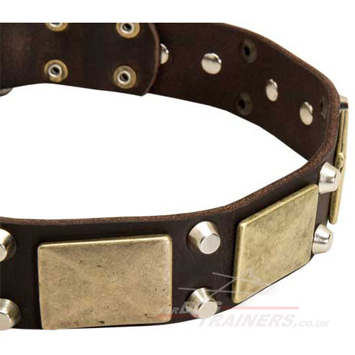 Siberian Husky Dog Collars UK