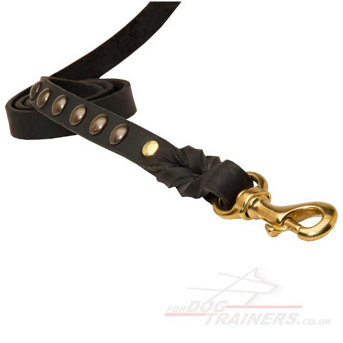 Leather dog lead with studs