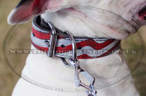 Designer Dog Collar for English Bull Terrier