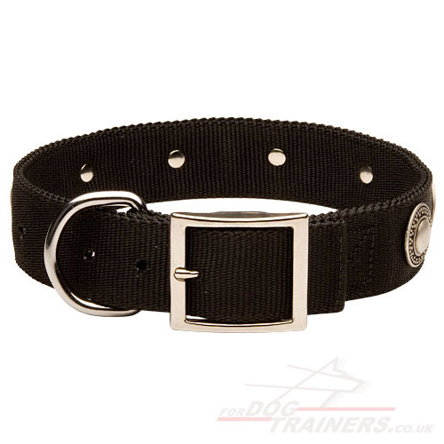 Nylon Dog Collar for Bull Terrier