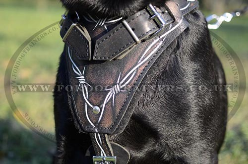 Labrador harness with handle