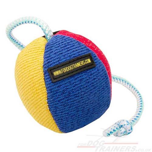 dog ball on rope