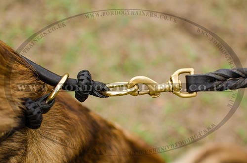 Round Leather Dog Collar