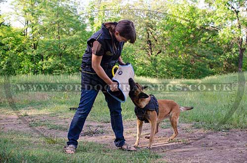 Nylon dog harness