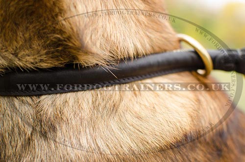 Round Leather Collar