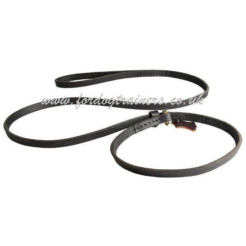 Dog Collar and Lead Set