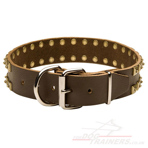 Dog Collars for Large Dogs