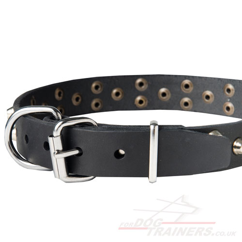 Boxer Dog Collar with Buckle