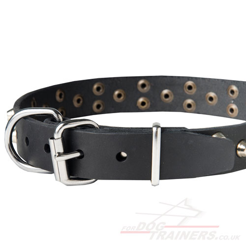 Husky dog collar