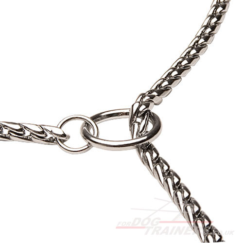 choke chain dog collar