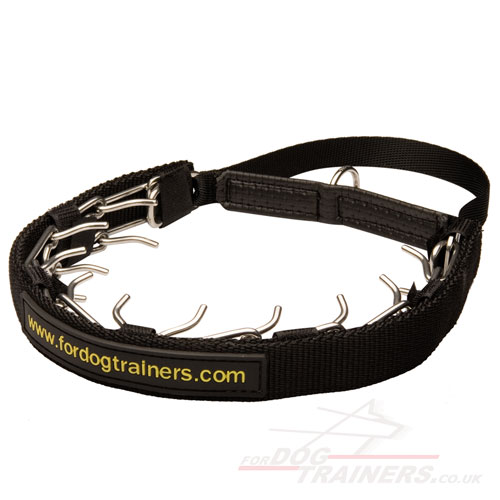 prong dog collar