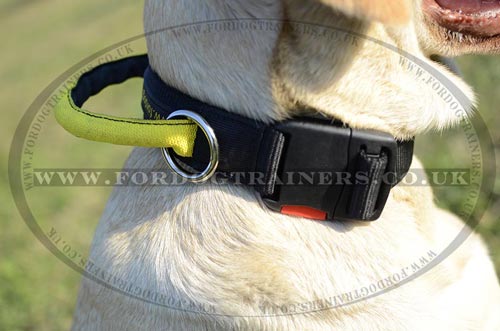 Nylon Dog Collar with Handle