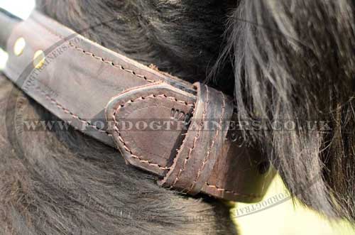 collar with handle