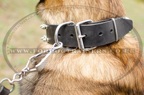 dog collars leather