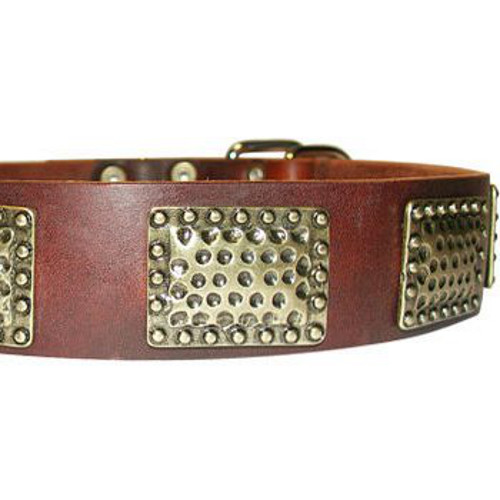 Dog leather collar