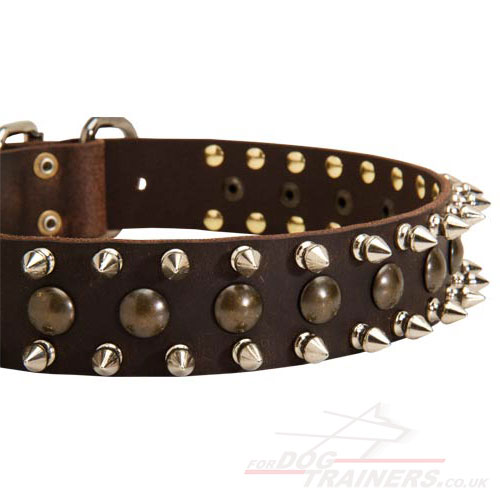 Dog leather collars