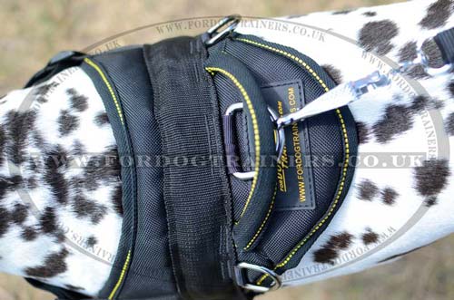 Dog harness UK