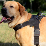 Bestseller Nylon Dog Harness