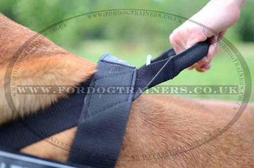 K9 Dog Harness