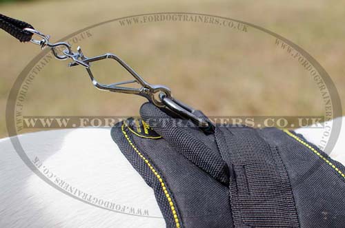 Nylon harness for Bull Terrier