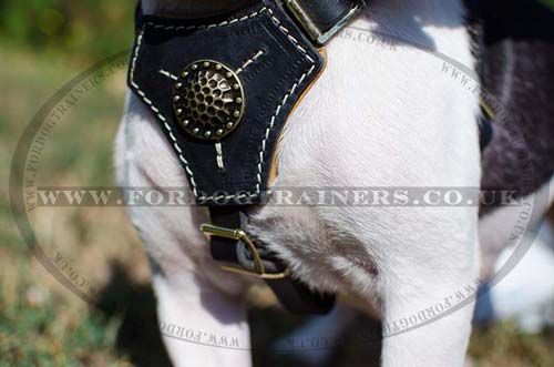 French Bull Dog Harness