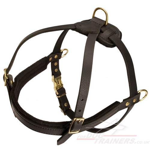 leather dog pulling harness for Caucasian Shepherd