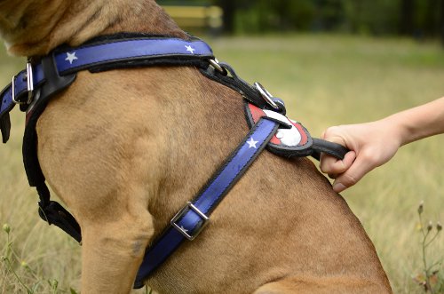 Dog harness for American Bulldog and large dogs with handle
